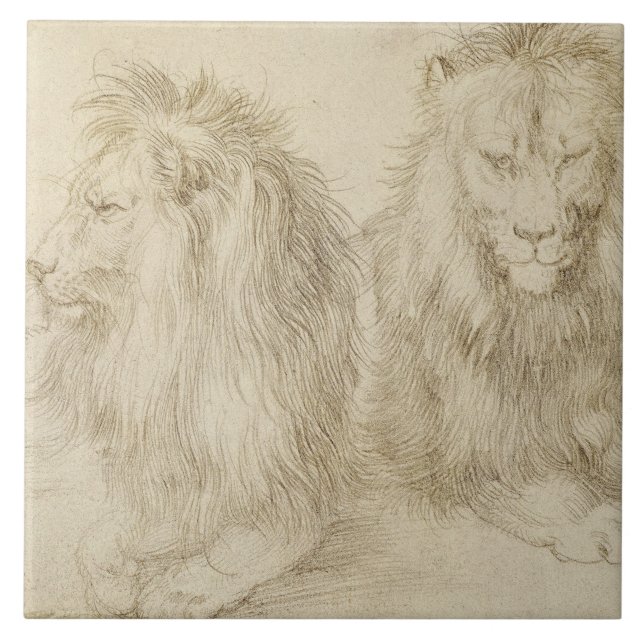 Azulejo Dos Leones (Animales Silvestres) (Albrecht Durer) (Frente)