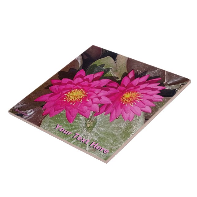 Azulejo Dos Lirios De Agua Rosada (Lado)