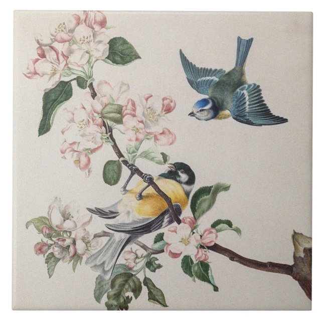 Azulejo Dos pájaros de teta añejos en un manzano (Frente)