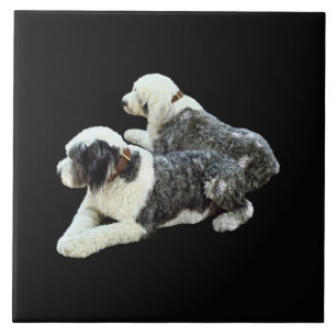 Azulejo Dos perros pastores
