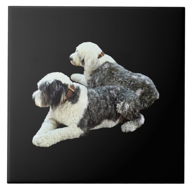 Azulejo Dos perros pastores (Frente)