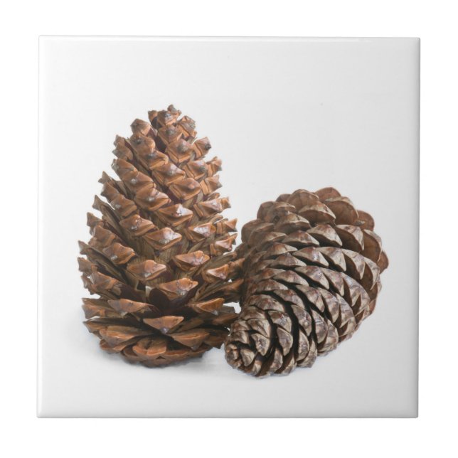 Azulejo Dos pinecones (Frente)