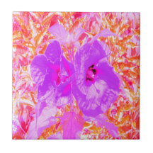 Dos púrpura y picante ciruela loca Hibiscus