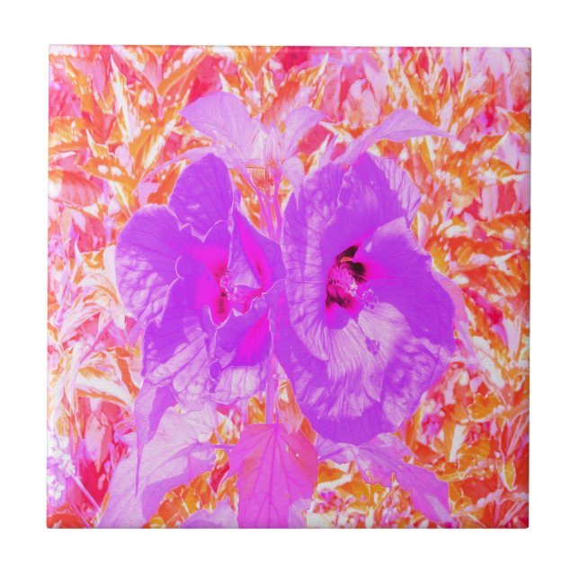 Azulejo Dos púrpura y picante ciruela loca Hibiscus (Frente)