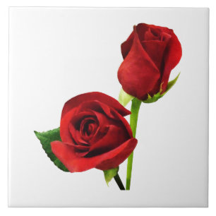 Azulejo Dos Rosas Rojas