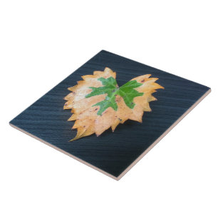 Azulejo Dos Tejidos Cerámicos De Leaf Tone