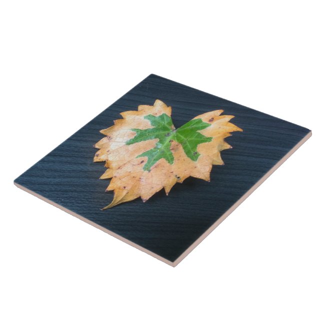 Azulejo Dos Tejidos Cerámicos De Leaf Tone (Lado)