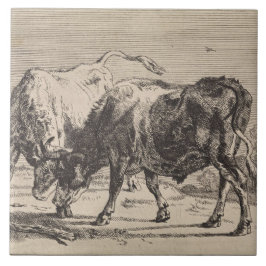 Azulejo Dos toros luchando (por Paulus Potter)