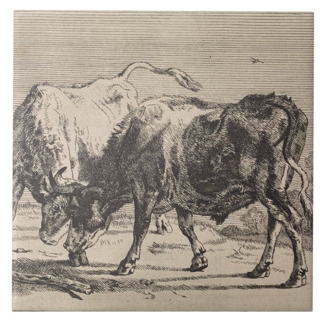 Azulejo Dos toros luchando (por Paulus Potter) (Frente)