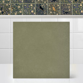 Azulejo Dosel para gato con arco de acento verde oliva de