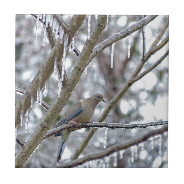 Azulejo Dove de duelo (Frente)