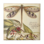 Azulejo Dragonflies con hojas y fruta<br><div class="desc">Las libélulas flotan por encima de las hojas que dan fruto en esta pieza de Vision Studio. El trío de insectos se mezcla maravillosamente bien con su fondo,  dándole a esta impresión una calidad de vida. ¡Pide tu copia hoy!</div>