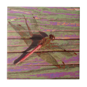 Azulejo Dragonfly Colorful