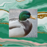 Azulejo Drake de mallard de cabeza verde<br><div class="desc">Baldosas de cerámica de temática natural con la foto de un drenaje de mallard de cabeza verde,  el macho de la especie de pato. Seleccione su tamaño de mosaico. ¡Hace un gran trivet de cocina!</div>