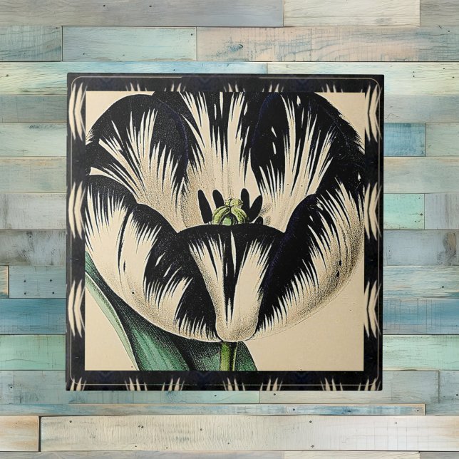 Azulejo Dramático tulipán negro y crema con borde (Subido por el creador)