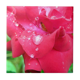 Azulejo Droplets en Petals Tile de fotos de cerámica