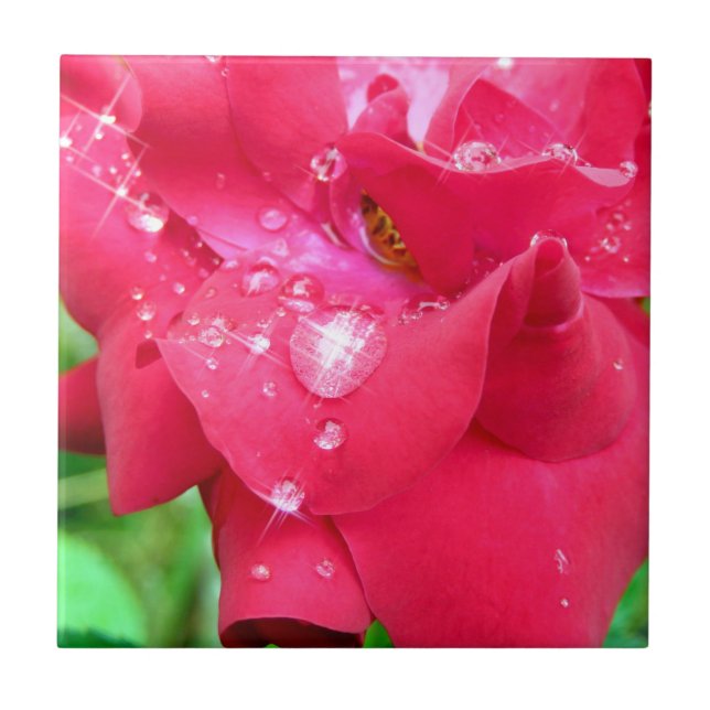 Azulejo Droplets en Petals Tile de fotos de cerámica (Frente)