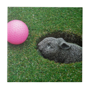 AZULEJO DSCF0652.JPG