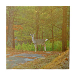 AZULEJO DSCF4041.JPG