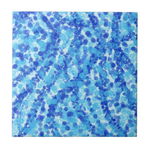 Azulejo Ducha del verano