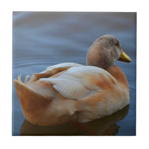Azulejo Duck Trivet