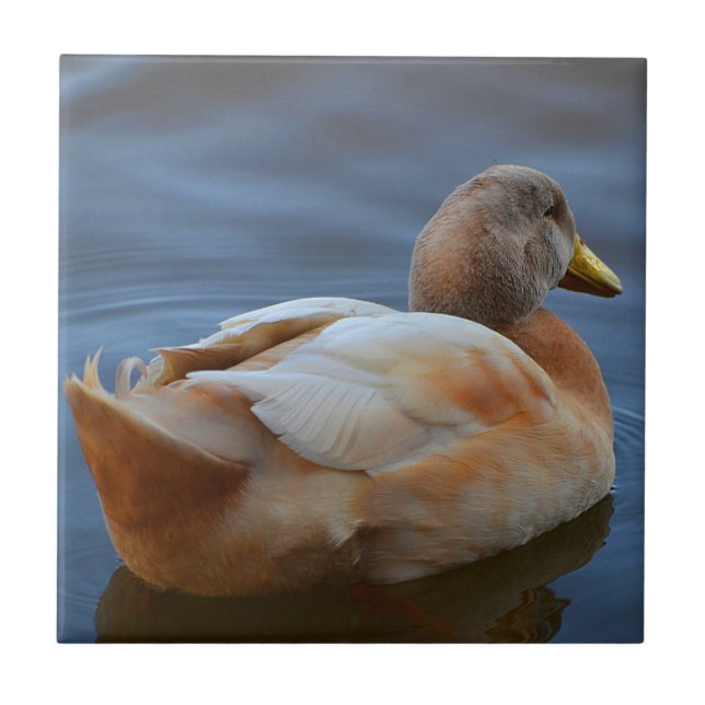 Azulejo Duck Trivet (Frente)