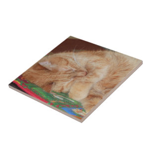 Azulejo Dulce chico jengibre