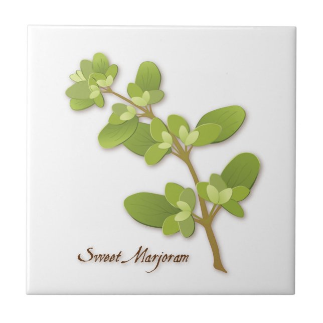 Azulejo Dulce Marjoram Herb Tile Cerámico (Frente)