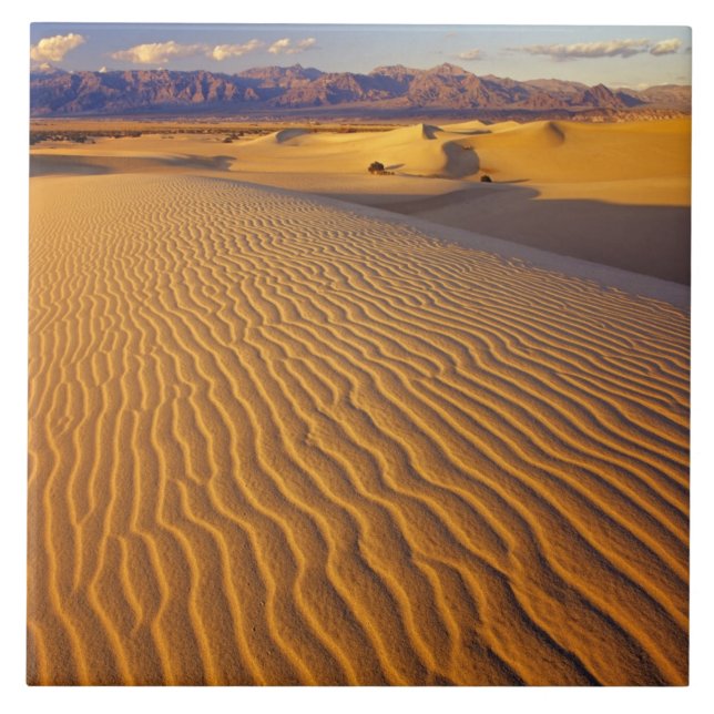 Azulejo Dunas de arena de Mesquite Flat en Death Valley (Frente)