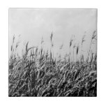 Azulejo Dune Triptych III<br><div class="desc">Decoración del hogar</div>