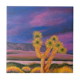 Azulejo Dusk at Joshua Tree