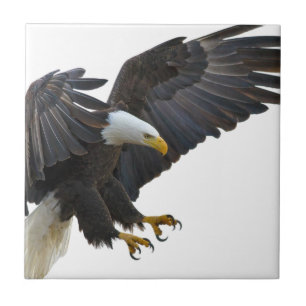 Azulejo Eagle