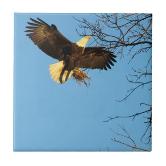 Azulejo Eagle Sunset Wings