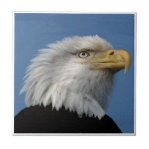 AZULEJO EAGLE-TILE CALVO