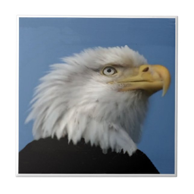 AZULEJO EAGLE-TILE CALVO (Frente)