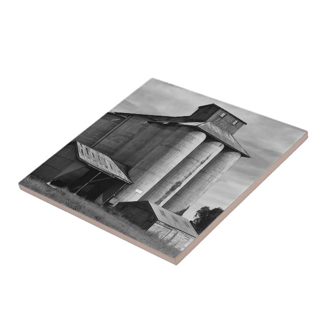 Azulejo Echoes of the Harvest (Lado)