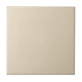 Azulejo Ecru Echelon Beige Square Kitchen and Bathroom