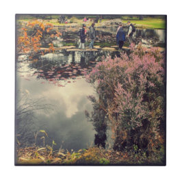 Azulejo Edificación de piedras