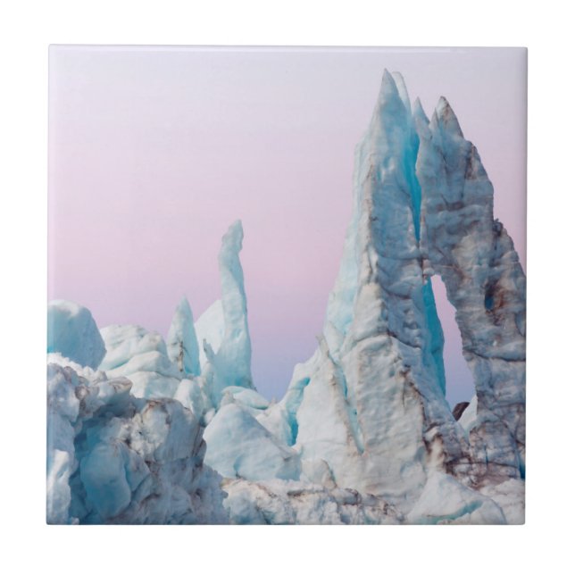 Azulejo EE. UU., Alaska, Parque Nacional Glacier Bay. Marg (Frente)
