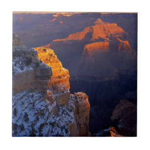 Azulejo EE. UU., Arizona, Parque Nacional del Gran Cánion,