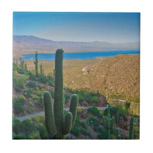 Azulejo EE. UU., Arizona. Vista desde la entrada a Tonto