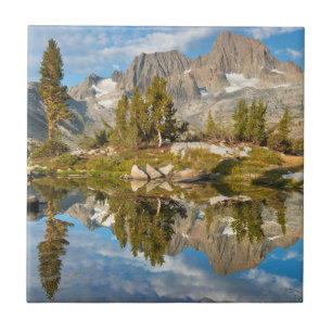 Azulejo EE. UU., California, Bosque Nacional Inyo 13