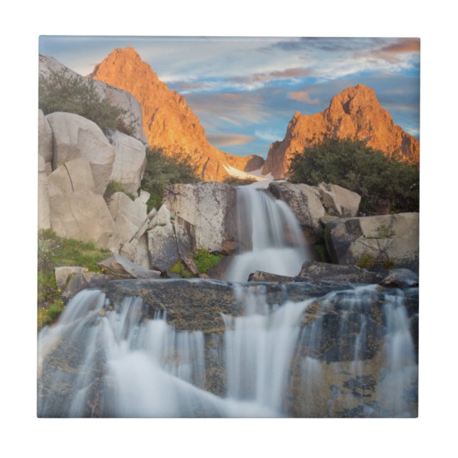 Azulejo EE. UU., California, Bosque Nacional Inyo 2 (Frente)