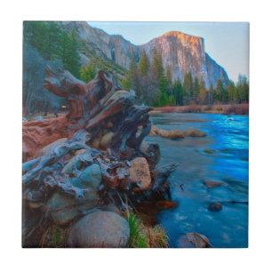 Azulejo EE. UU., California. Raíces de árboles en el río M