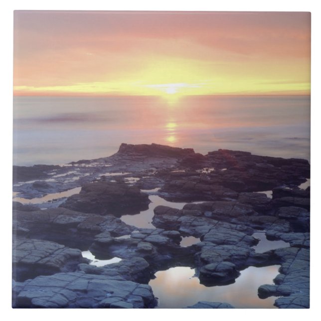 Azulejo EE.UU., California, San Diego. Marea de los acanti (Frente)