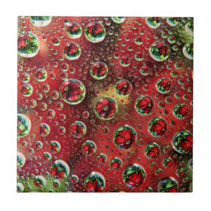 Azulejo EE. UU., Colorado, Lafayette. Burbujas de agua en