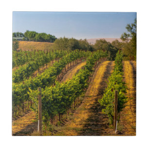 Azulejo EE.UU., Este de Washington, Viñedos de Walla Wall