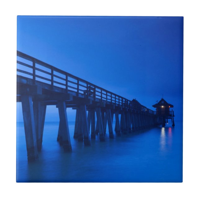 Azulejo EE.UU., Florida, Costa del Golfo, Nápoles, Nápoles (Frente)