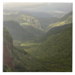 Azulejo EE. UU., Hawái, Kauai, mirador del cañón. (RF)