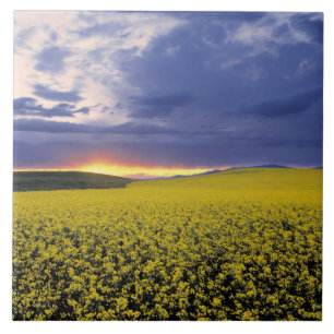 Azulejo EE. UU., Idaho, Swan Valley. Una puesta de sol ard